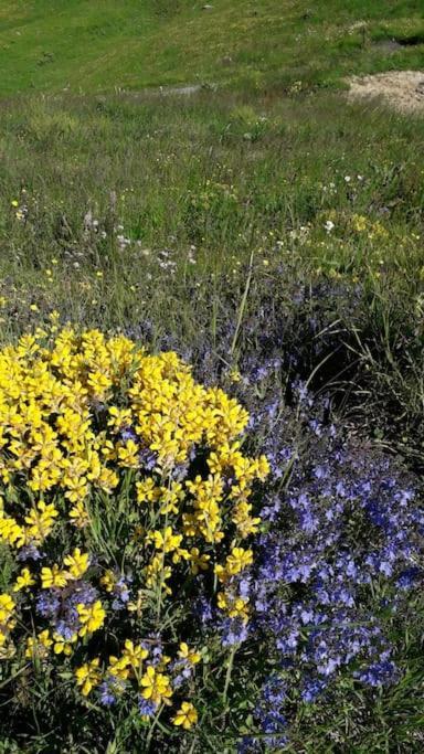 A Cordon Entre Bois Et Nature מראה חיצוני תמונה